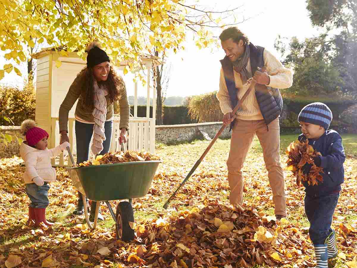 Deux parents et leurs jeunes enfants ramassent les feuilles dans leur cour.